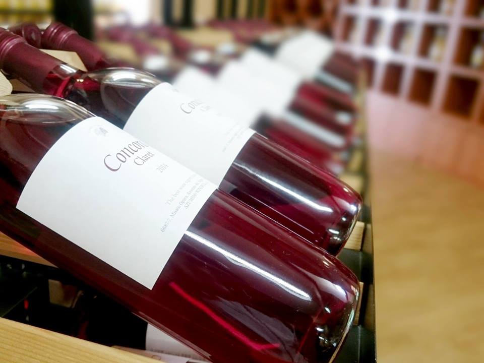 写真_ワイン解禁